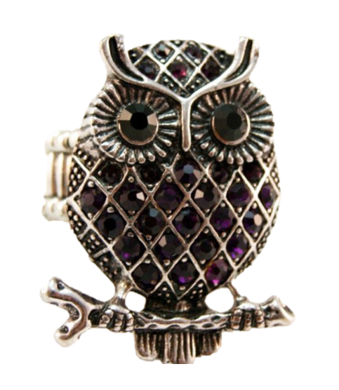 Anillo de bisutería plateado
